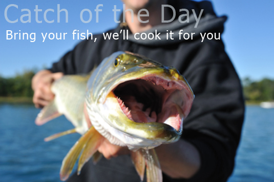 Catch Walleye, Northern Pike, Bass and Pan Fish on Lake Winnibigoshish