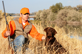 Grouse and Phesant Hunting near Grand Rapids and Deer River